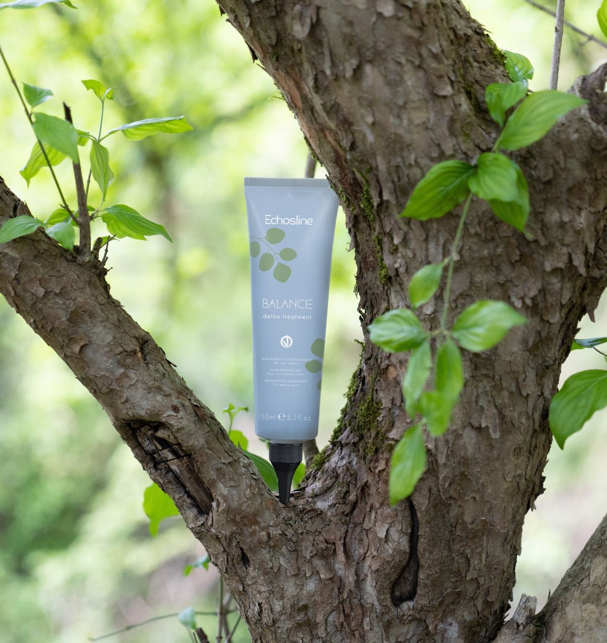 Tratament detox pentru scalp cu mătreaţă 1150 ml 4 Tratament-detox-cu-ghimbir-scalp-gras-si-par-cu-matreata.jpg